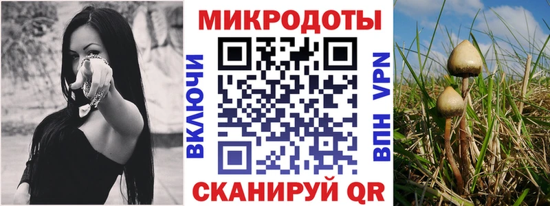 Галлюциногенные грибы прущие грибы  Зима 